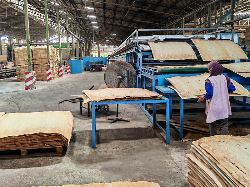 ��һ̨�µ�ľƤ��ɻ���̩����װ���